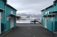 Hafen von Reykjavik